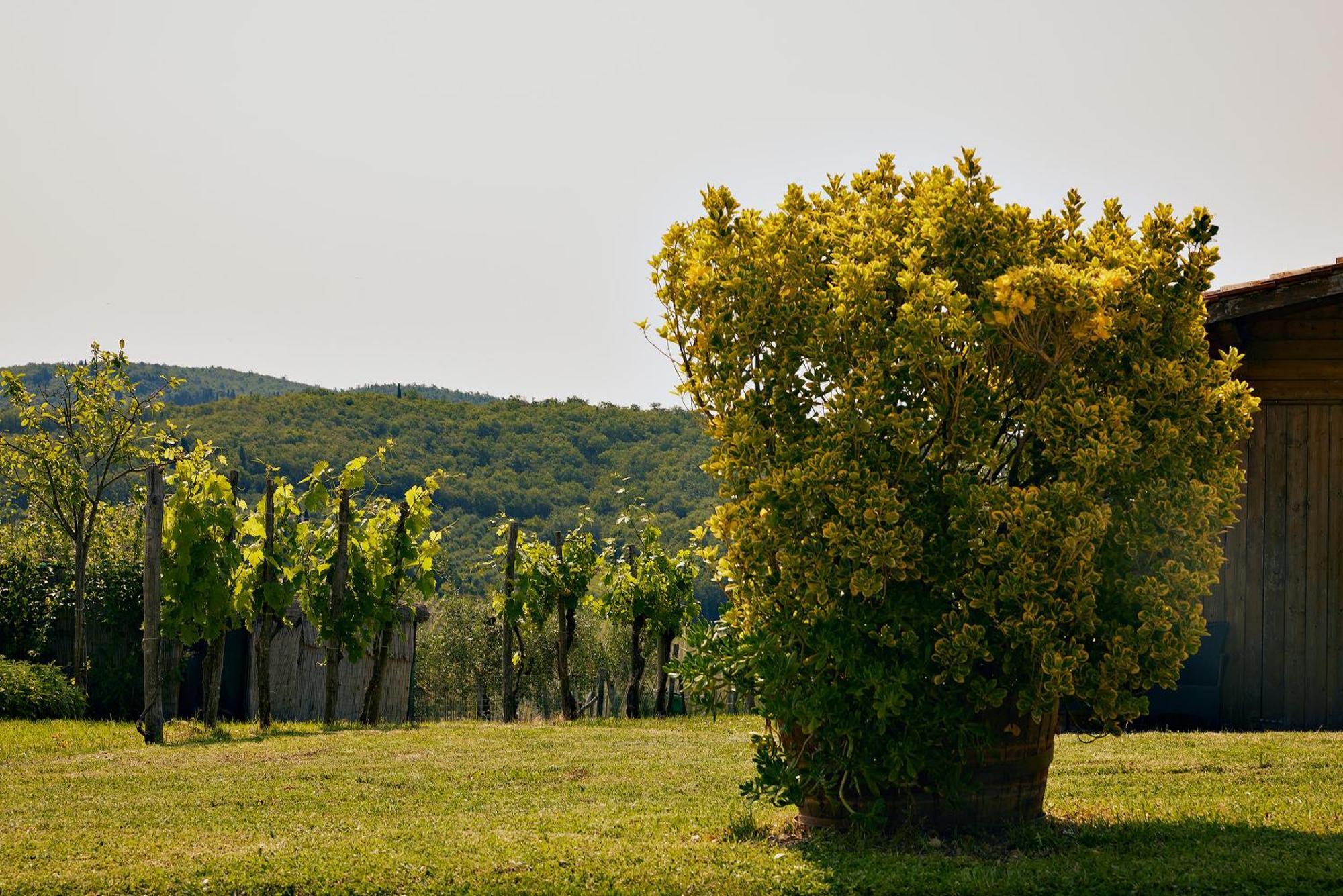 Tenuta Il Poggetto Radda in Chianti Exterior photo