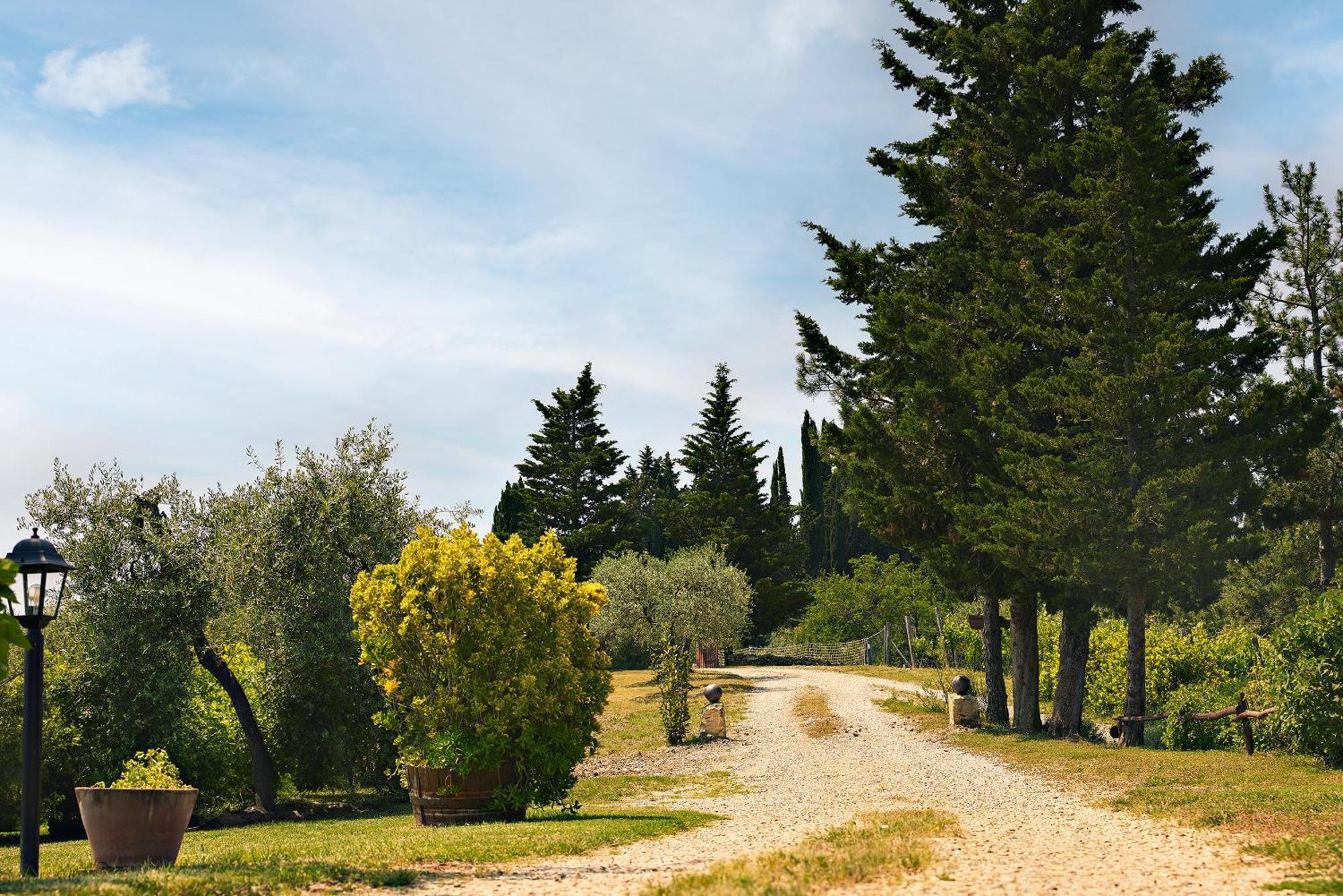 Tenuta Il Poggetto Radda in Chianti Exterior photo